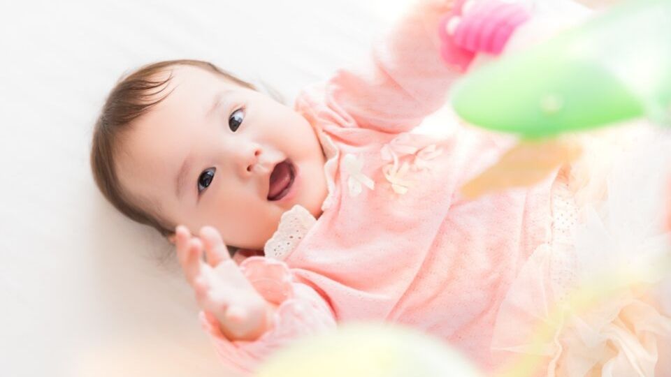 【節税】フリーランス妊婦さん必見!国民年金保険料をお得にする制度